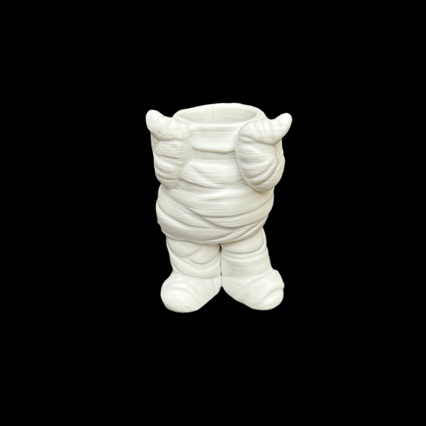 Air Plant & Table Top Pot - Mummy