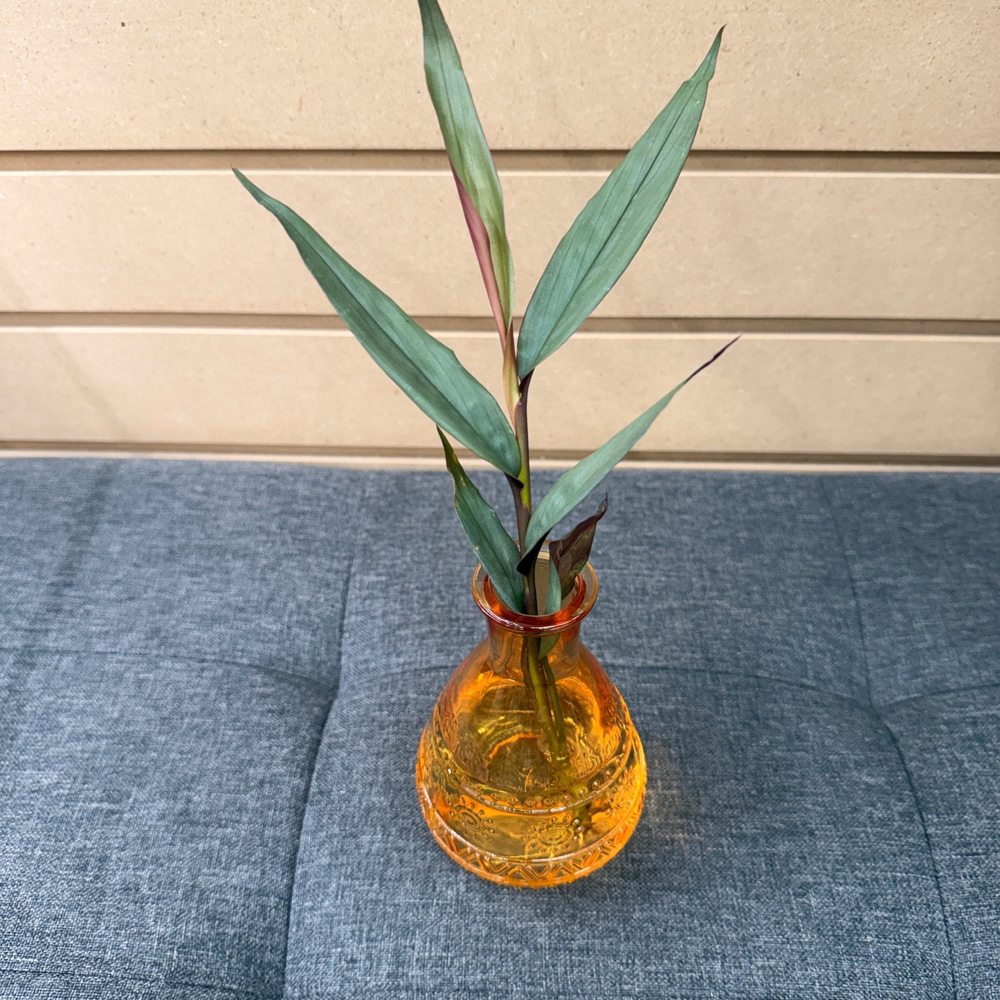 Vase with Plant