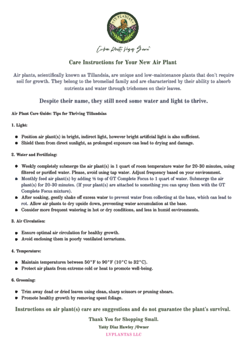 Air Plant & Table Top Pot - Labubu