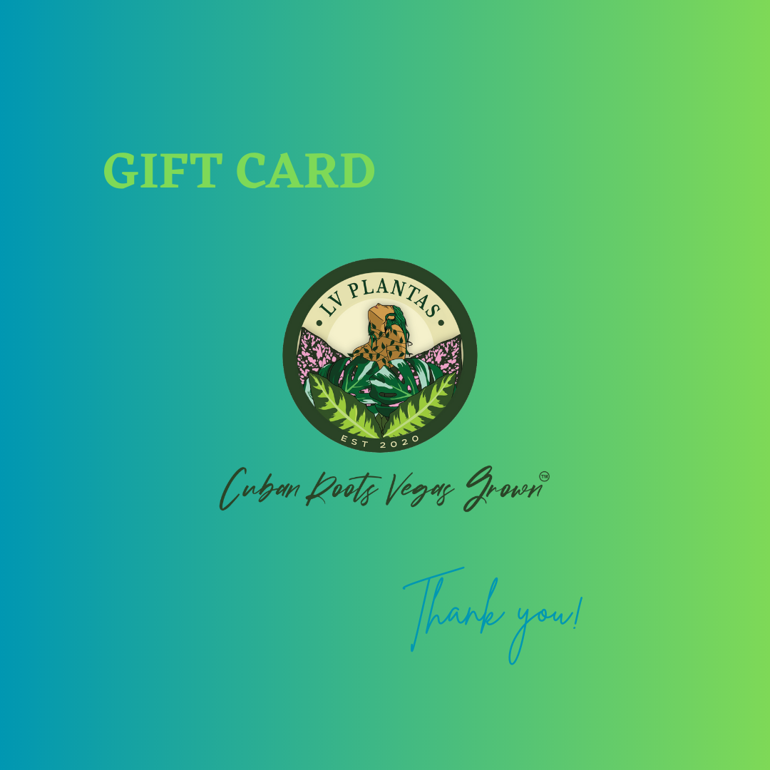 Gift Card – LV Plantas