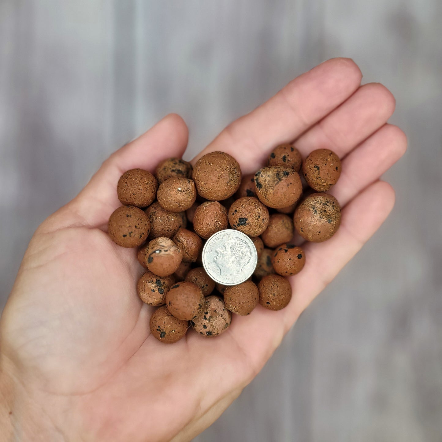 Hydro Balls/LECA 10 lb. Bag