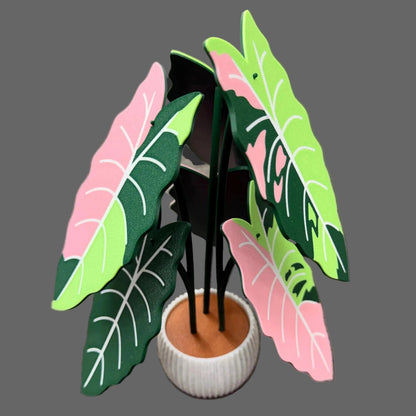 Alocasia Coaster Set