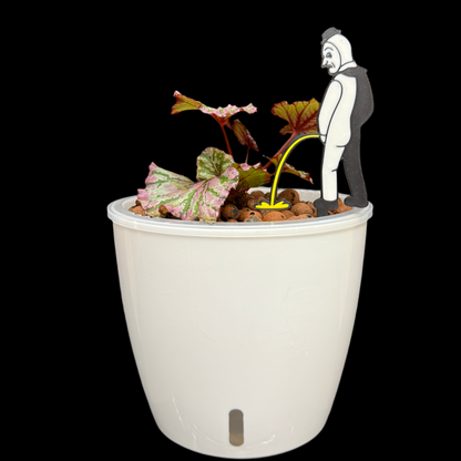 Plant Horror Funny Pot Decoration