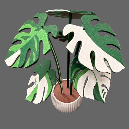Monstera Albo Coaster Set