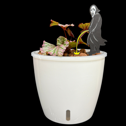 Plant Horror Funny Pot Decoration