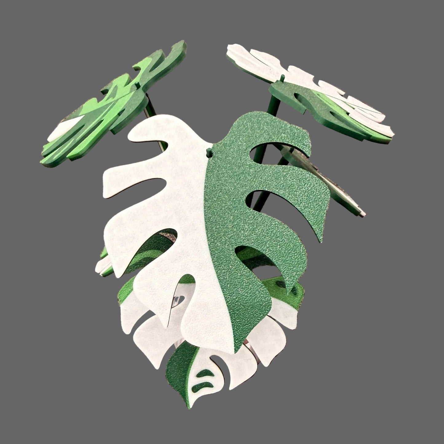 Monstera Albo Coaster Set