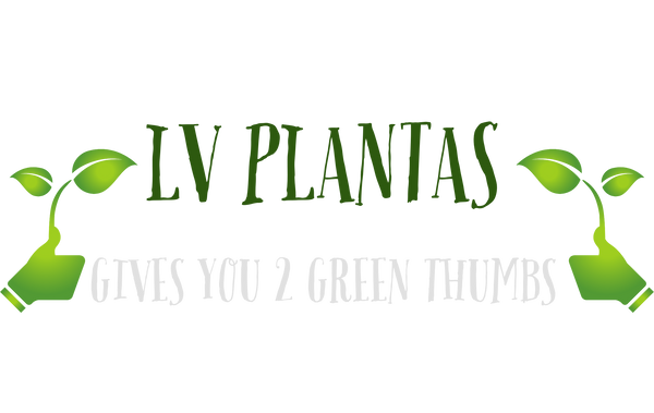 LV Plantas