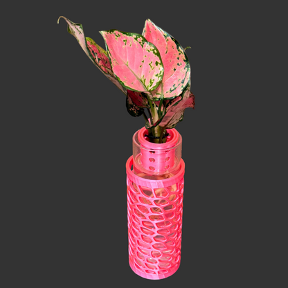 Aglaonema Valentine Decor Vase, Pre-Planted