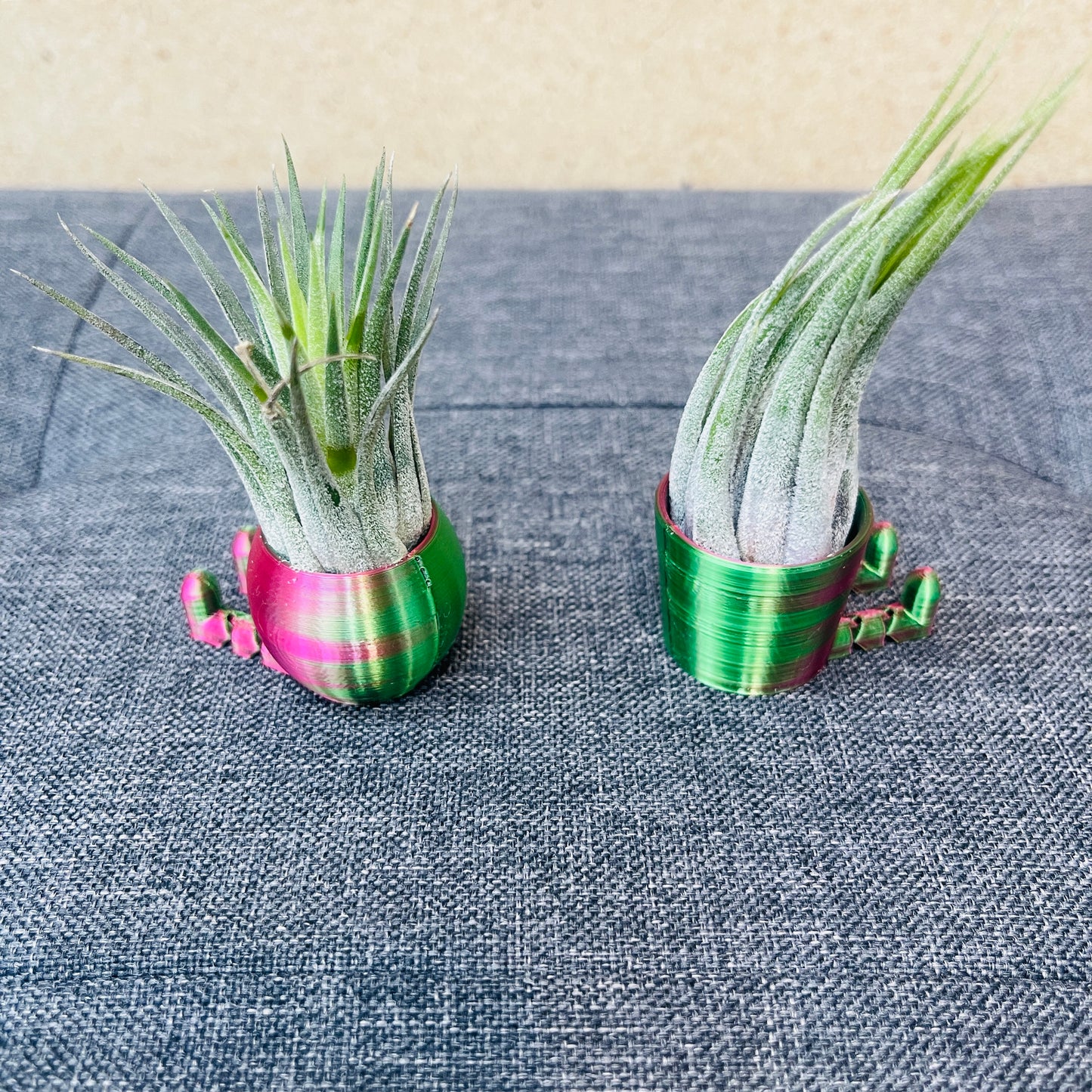 Air Plant & Table Top Pot -  Mini Airhead