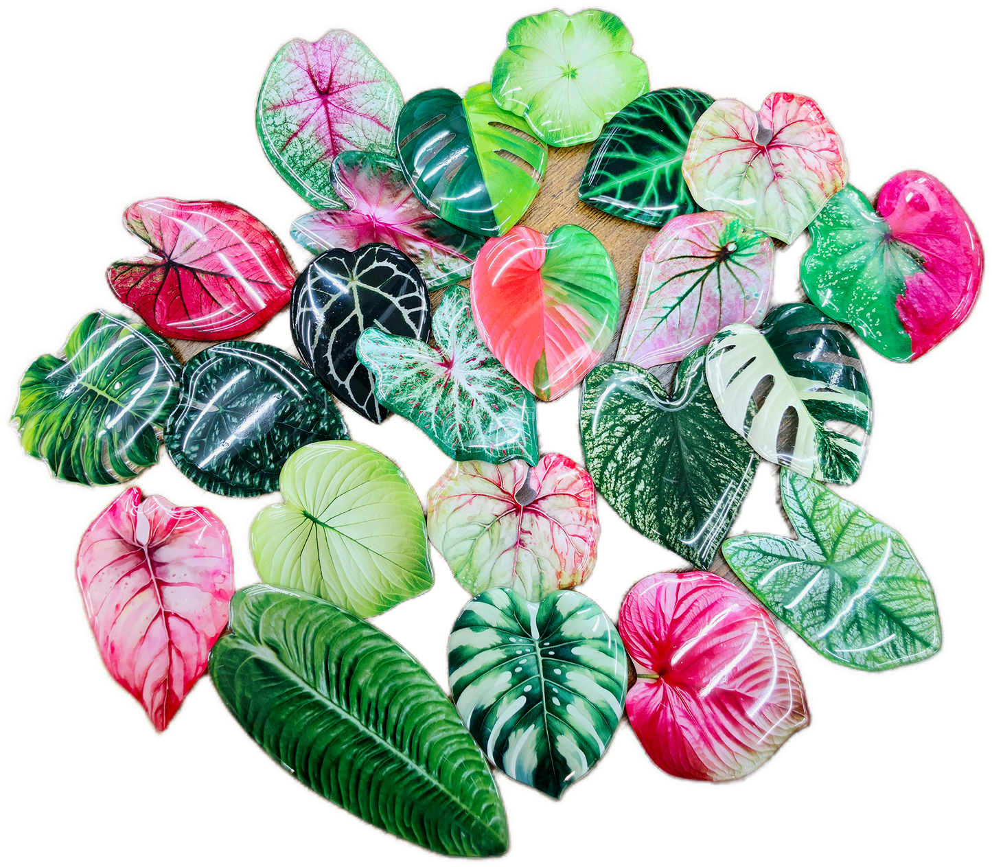 Realistic Leaf Shaped Magnets
