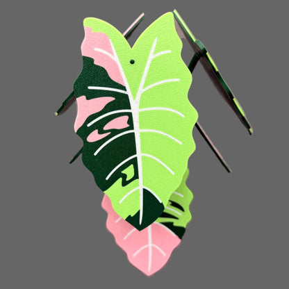 Alocasia Coaster Set
