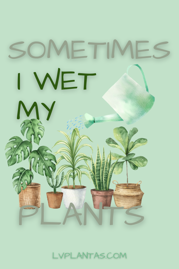 Keychain Sometimes I Wet My Plants