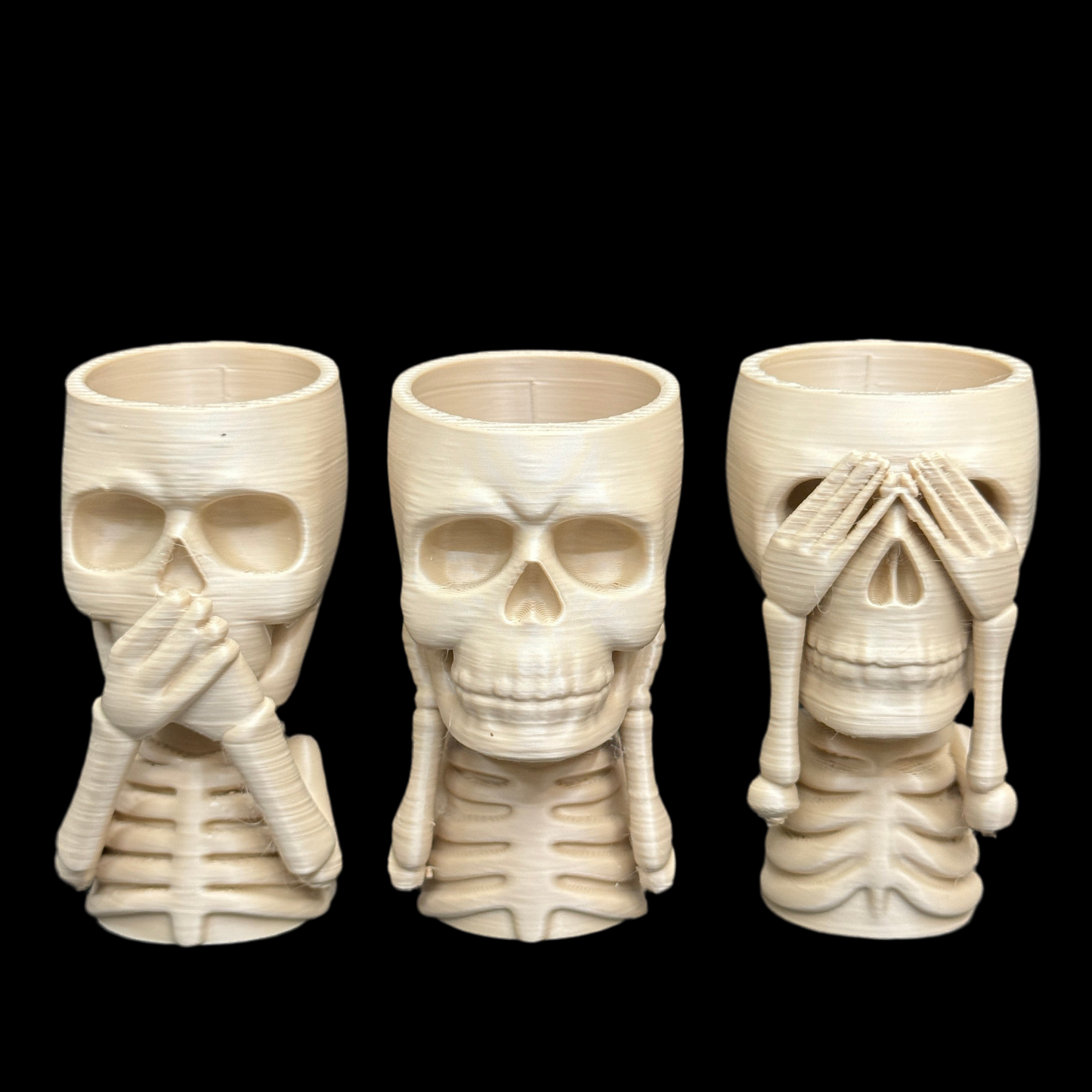 Table Top Air Plant - Skeleton Hear, Speak, See No Evil