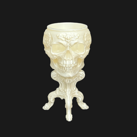 Air Plant & Table Top Pot - Skeleton Candleabra