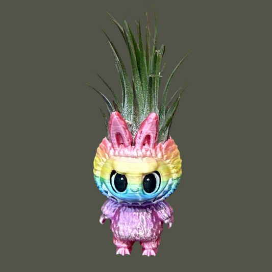 Air Plant & Table Top Pot - Labubu