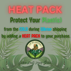 Heat Pack - Highly Recommended During Winter Months