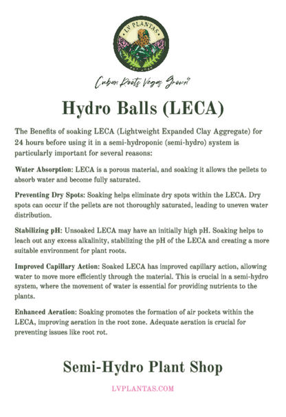 Hydro Balls/LECA 4 lb. Bag