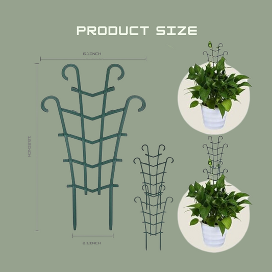 Plant Trellis